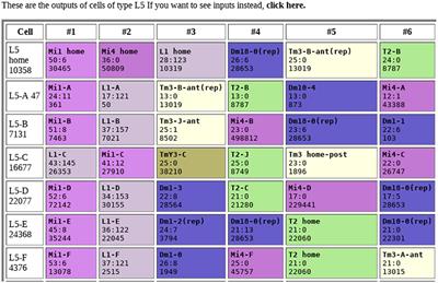 Analysis Tools for Large Connectomes